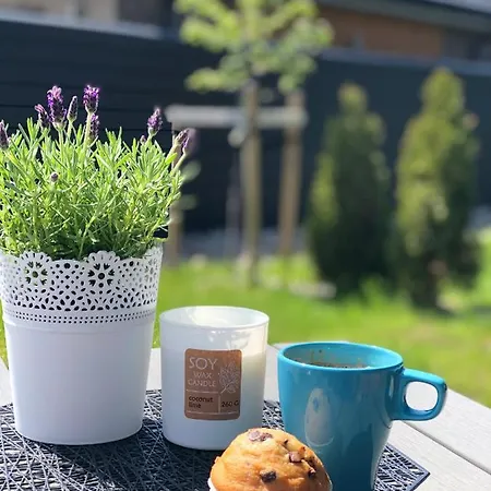 Апартаменты Apartamentai Sunny *