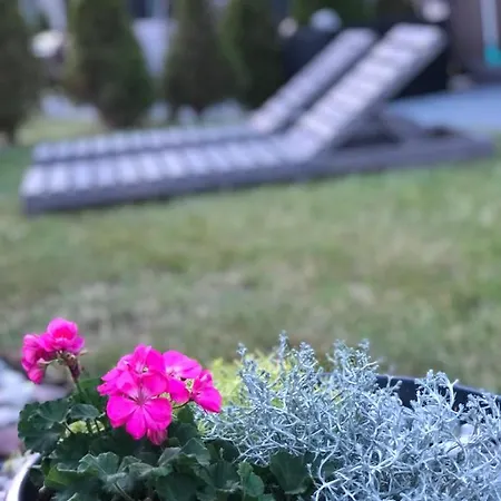 Апартаменты Apartamentai Sunny *