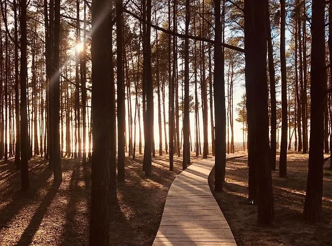 Apartamentai Sunny Διαμέρισμα *