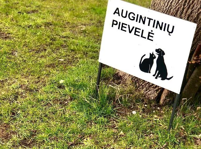 Apartamentai Sunny *