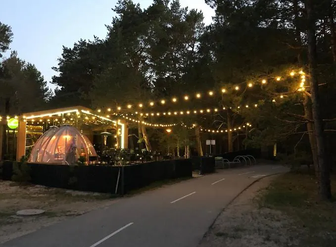 Apartamentai Sunny パランガ