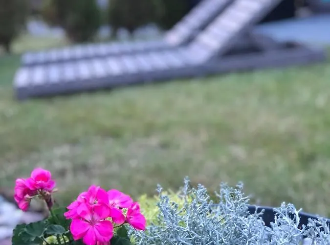 アパート Apartamentai Sunny *