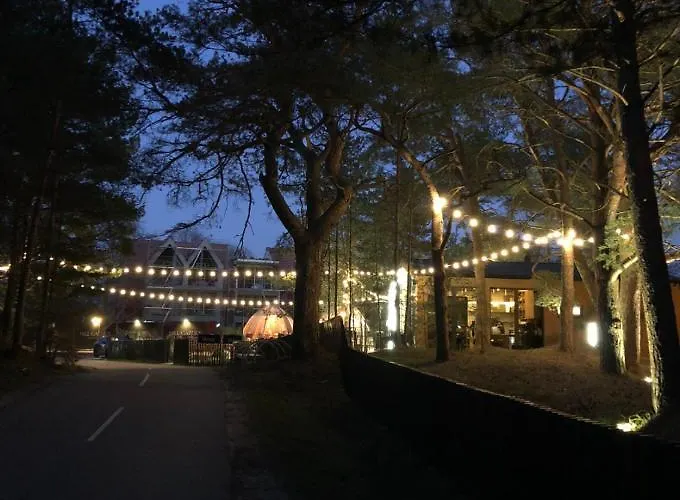 アパート Apartamentai Sunny パランガ