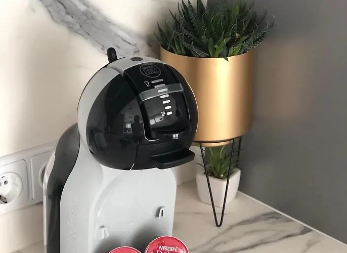 Apartamentai Sunny アパート パランガ