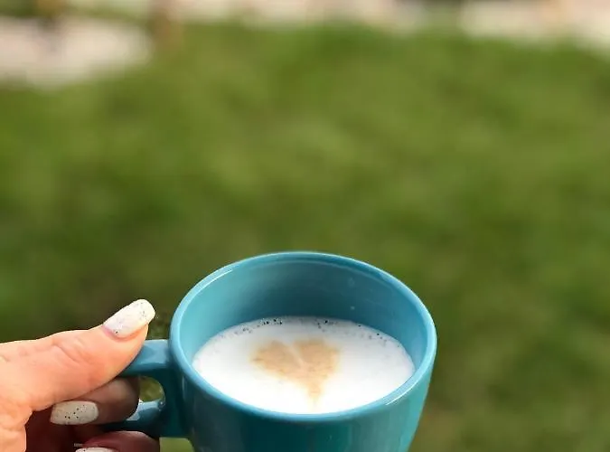 Apartamentai Sunny パランガ